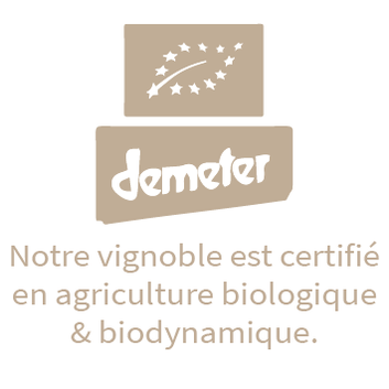 Domaine De Morti s Domaine De Morti s